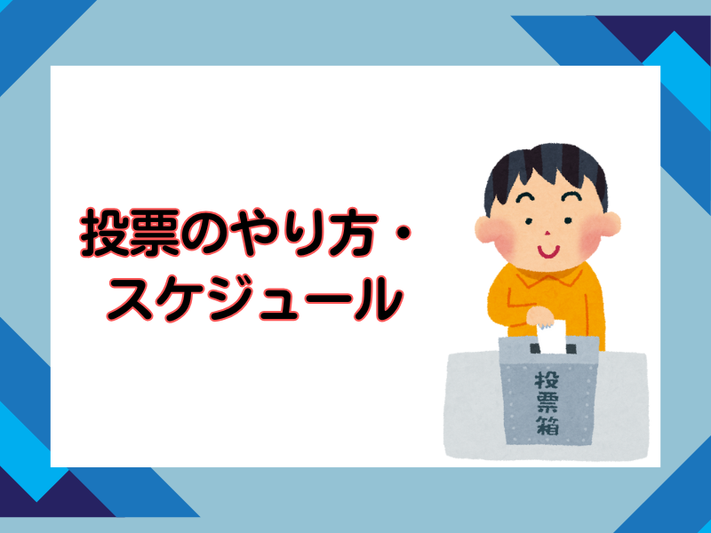 【添付】6投票のやり方・スケジュール