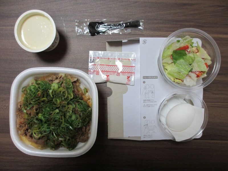 フタを開けた牛丼、サラダ、プリンが崩れず届いている様子
